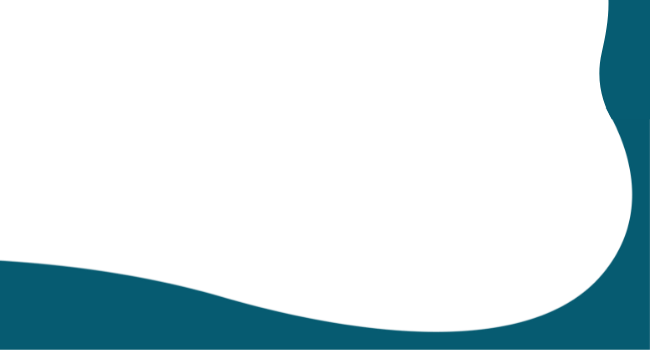 STS2022